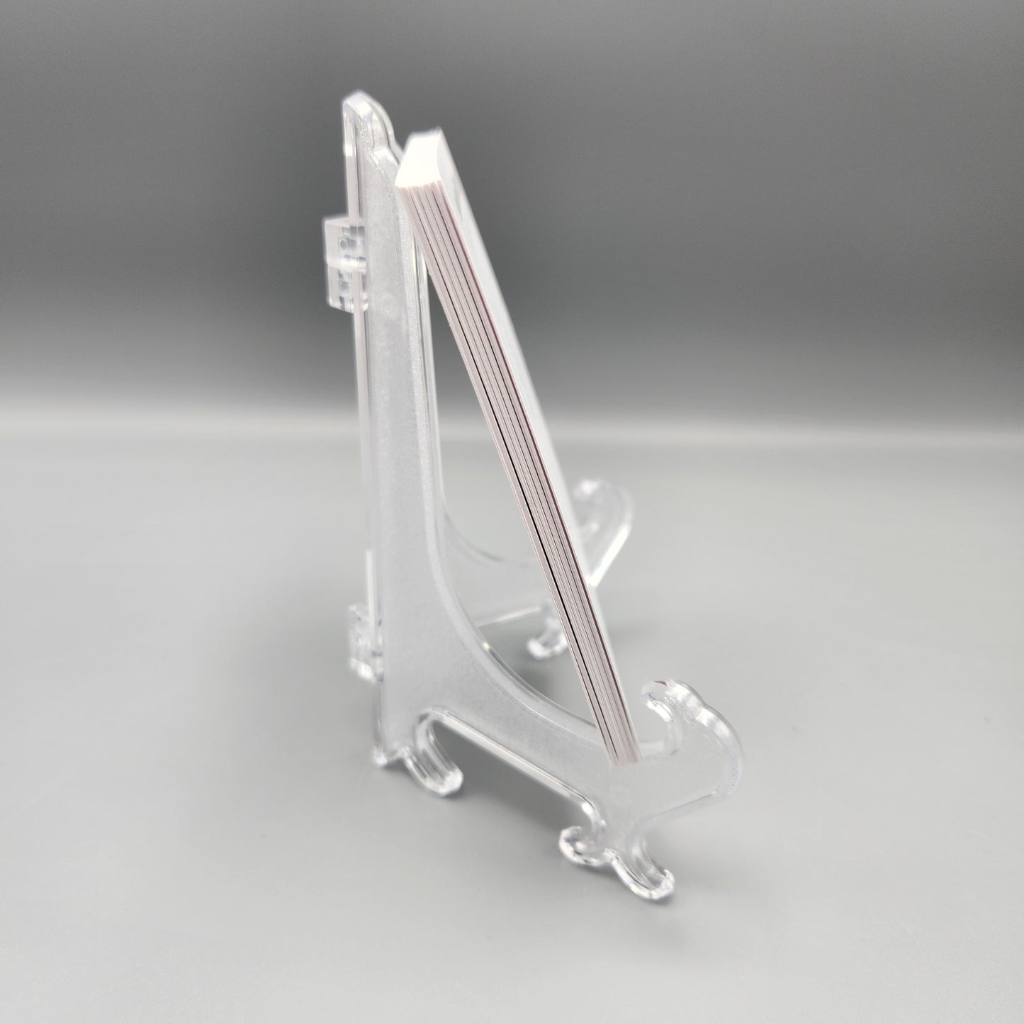 Hinged Plastic Plate Stand Clear