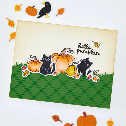 Hero Arts Hide and Peek Stamp Set CM882