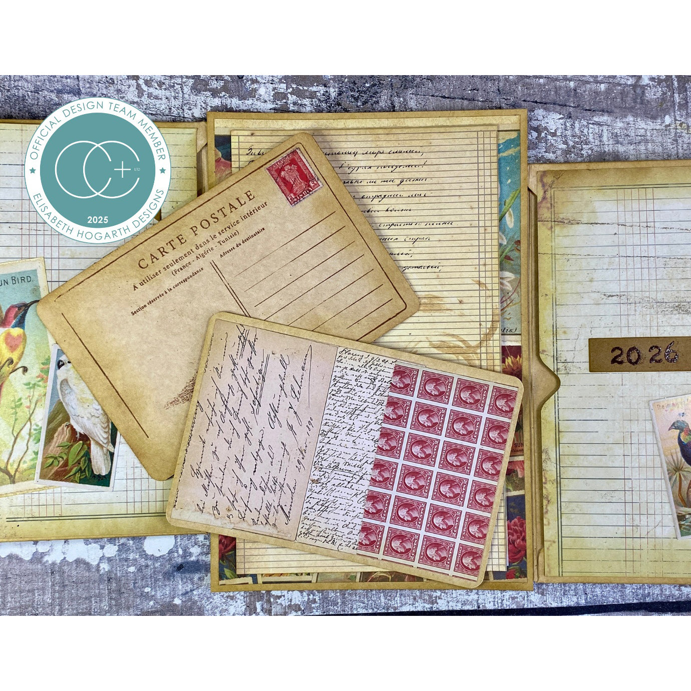 Craft Consortium The Collector Clear Stamp Set