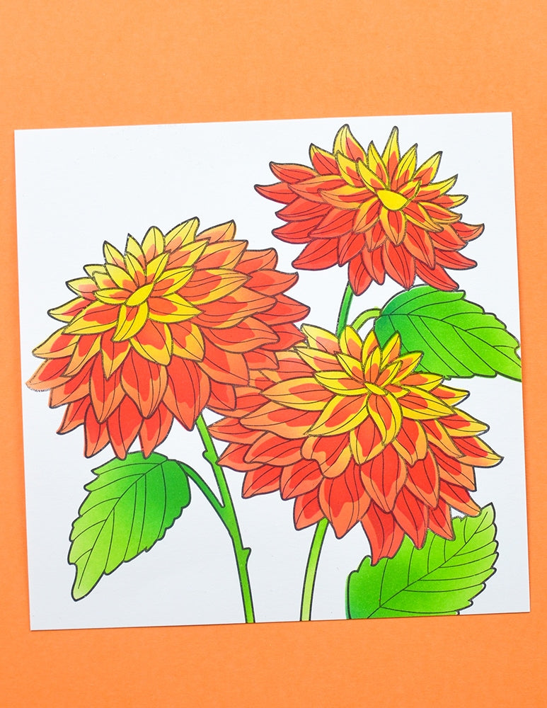 Memory Box 88635 Dahlia Stems Stencil Set