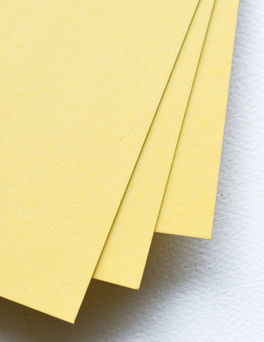 Memory Box SH44019 Golden Wheat Paper Pack