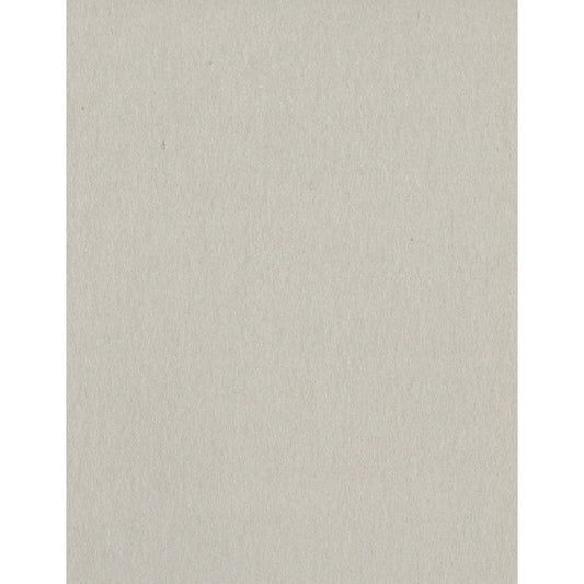 Bazzill Card Shoppe Heavyweight Cardstock Alpaca 8.5"X11"