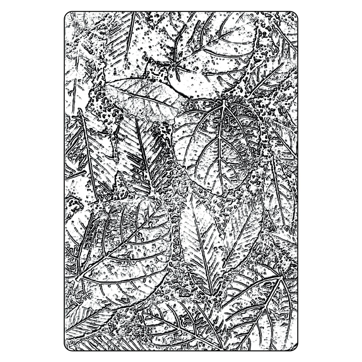 Sizzix 3D Texture Fades Embossing Folder A5 by Tim Holtz Foliage