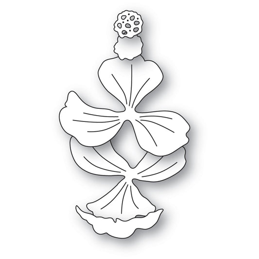 Memory Box 94840 Delicate Bloom