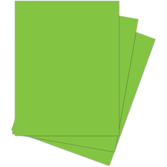 Memory Box SH44007 Cilantro Paper Pack