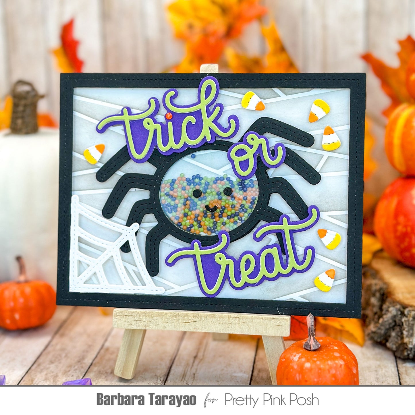 Pretty Pink Posh Trick or Treat Shadow Die