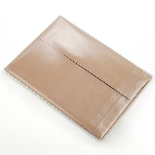 Crystal Clear Bags® with Flap 5 7/16" x 7 1/4" 100 pack B75