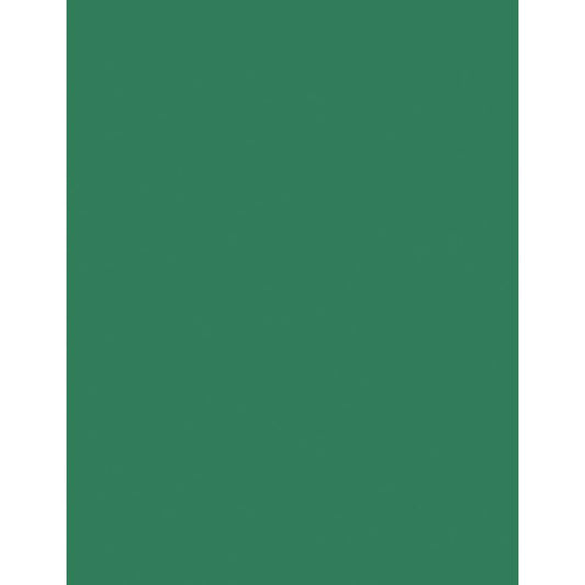 Bazzill Card Shoppe Heavyweight Cardstock 8.5"X11" Evergreen 5/pkg