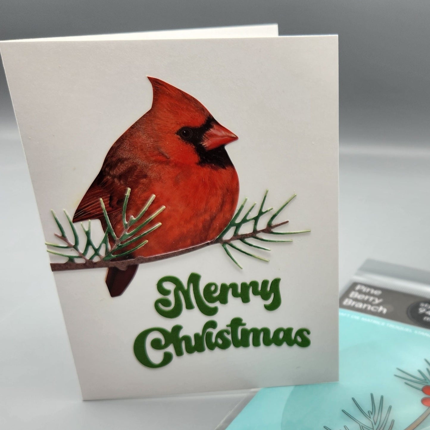 Paper House Self-Adhesive Die-Cuts Birds